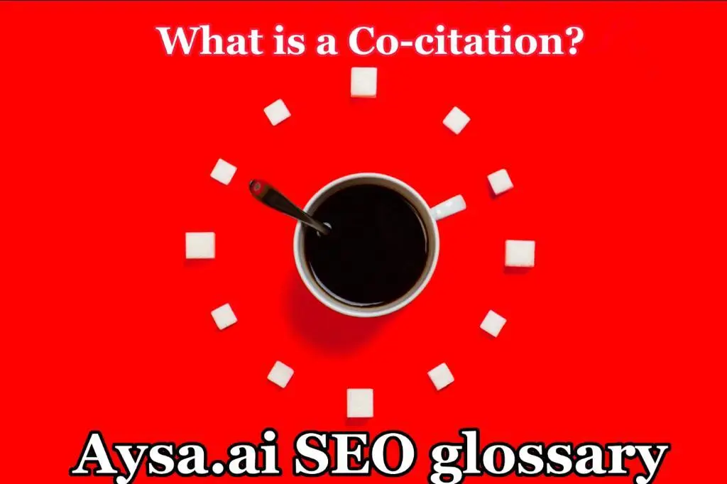 What is Co-citation?