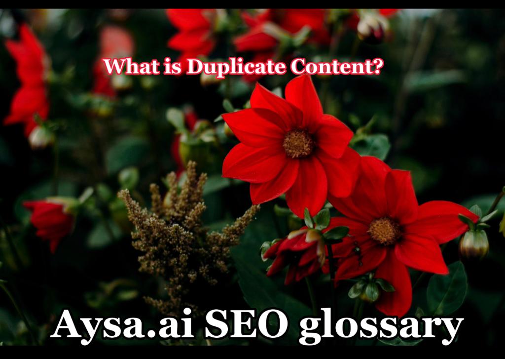 Duplicate content