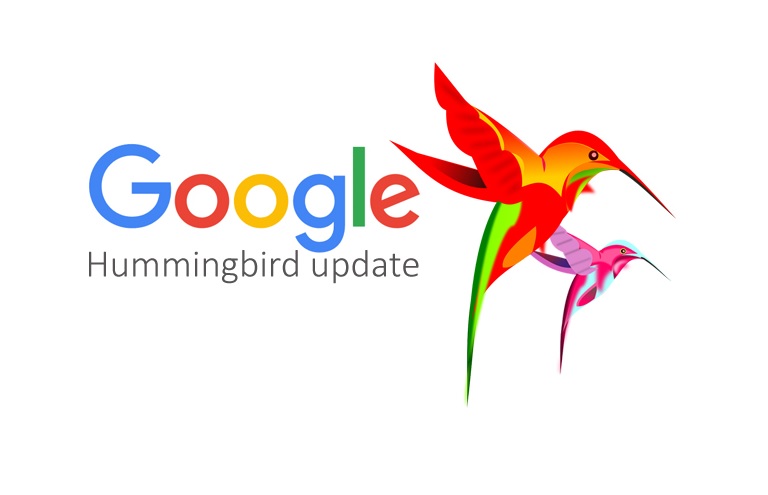 Google Hummingbird: The Game-Changing Update That Transformed Search